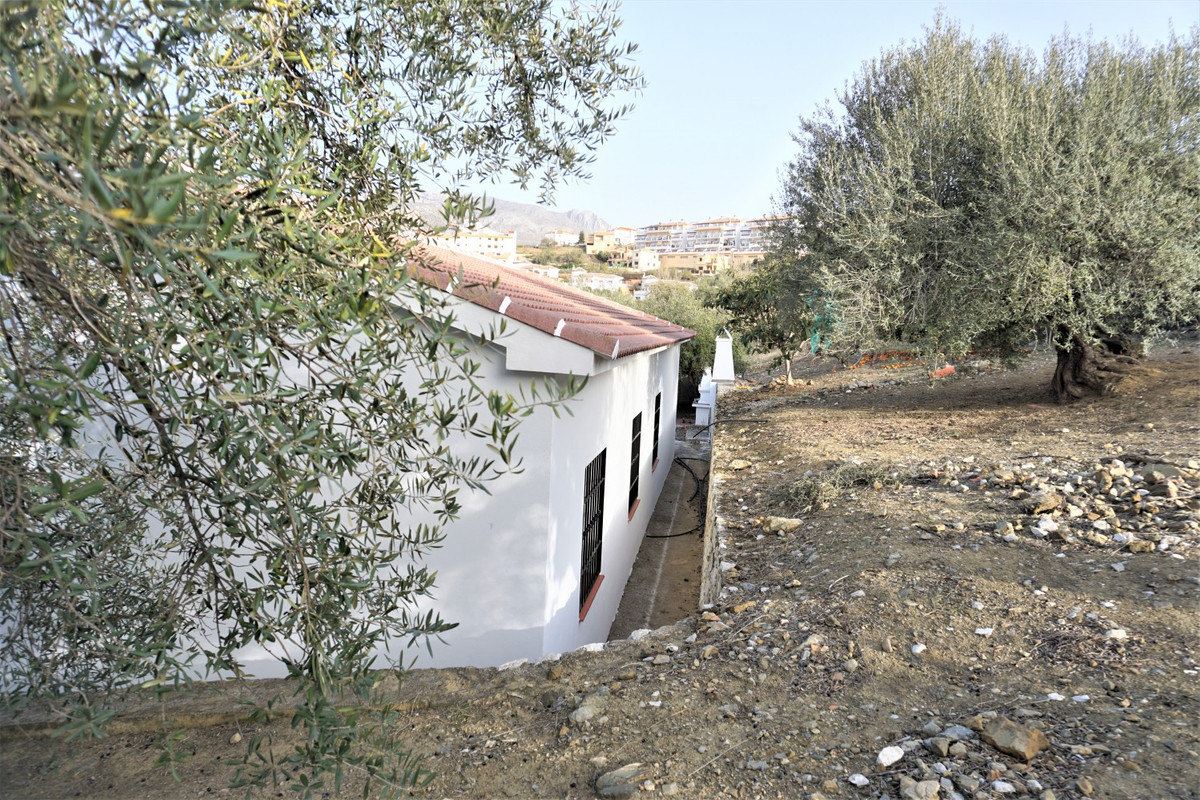 Finca - Cortijo in Alcaucín-33