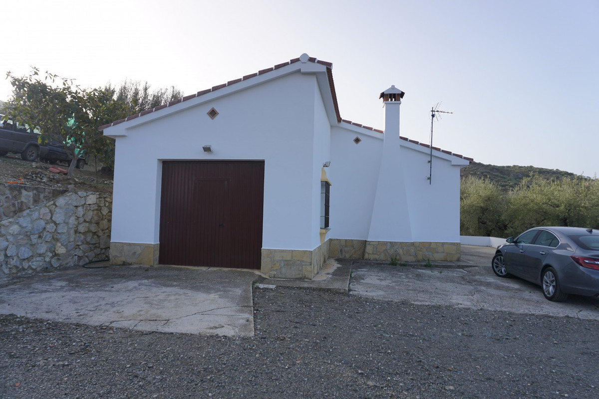 Finca - Cortijo in Alcaucín-34