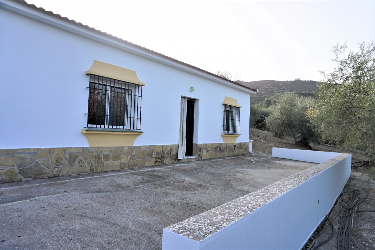 Finca - Cortijo in Alcaucín-4