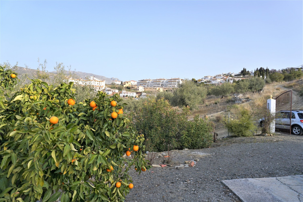 Finca - Cortijo in Alcaucín-6