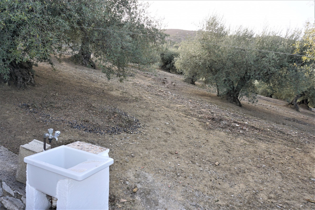 Finca - Cortijo in Alcaucín-9