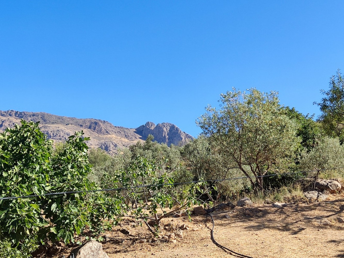 Property main view 5