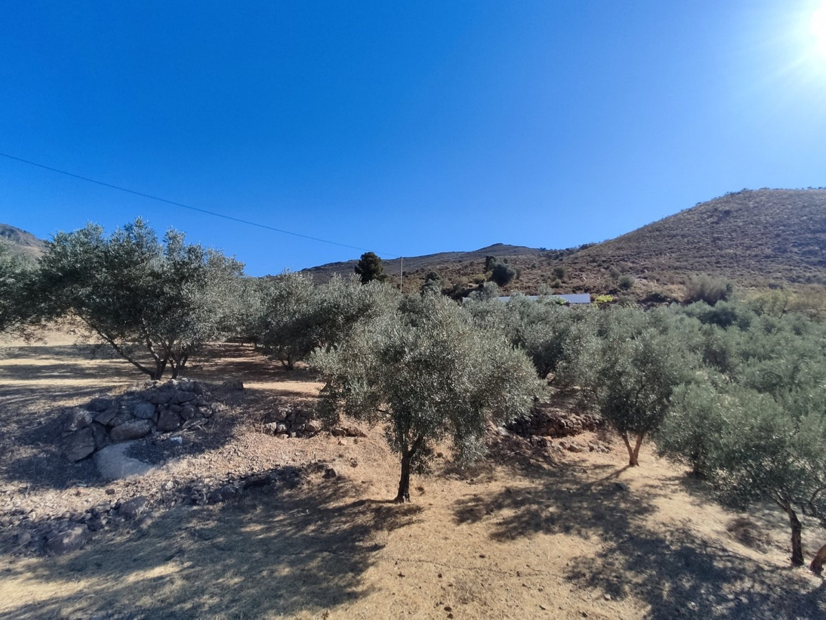 Property main view 6