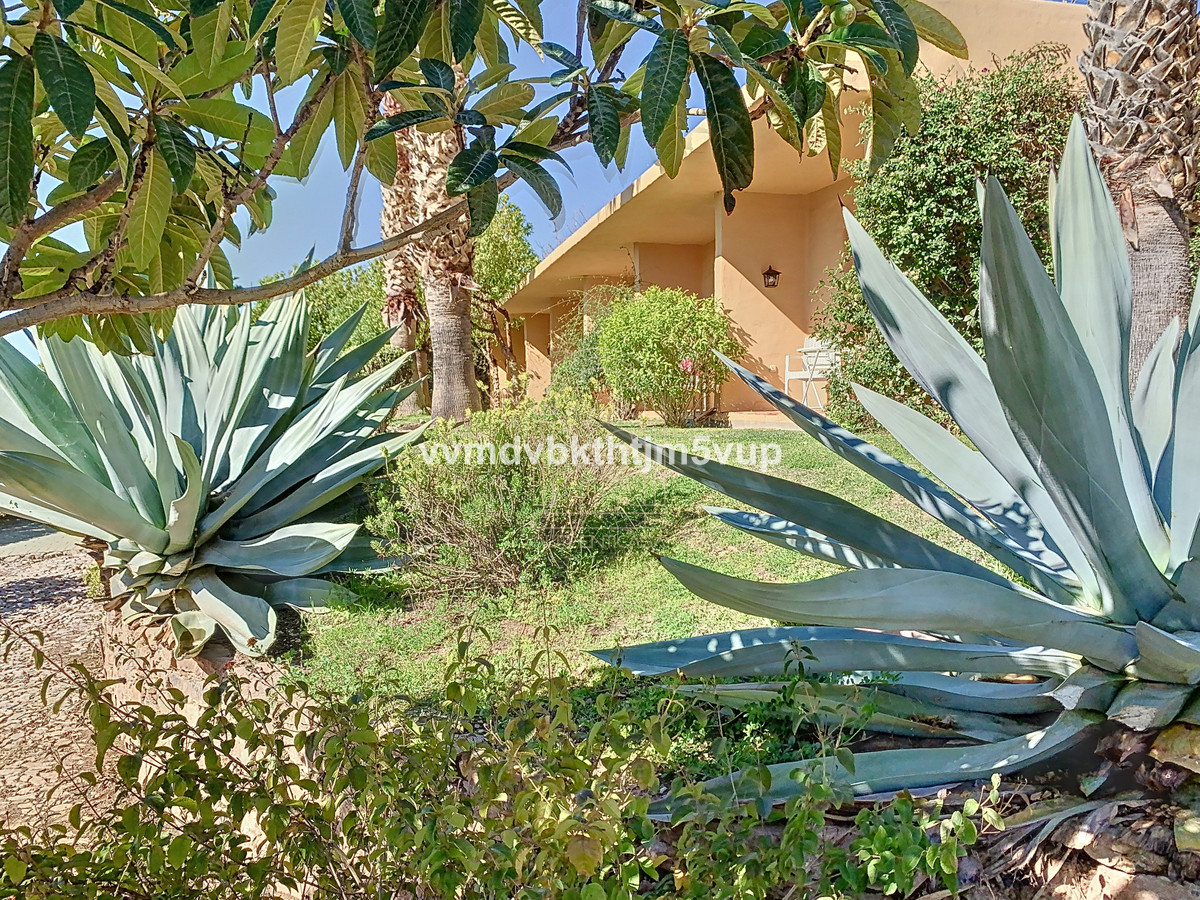 Finca - Cortijo in Alcaucín-19