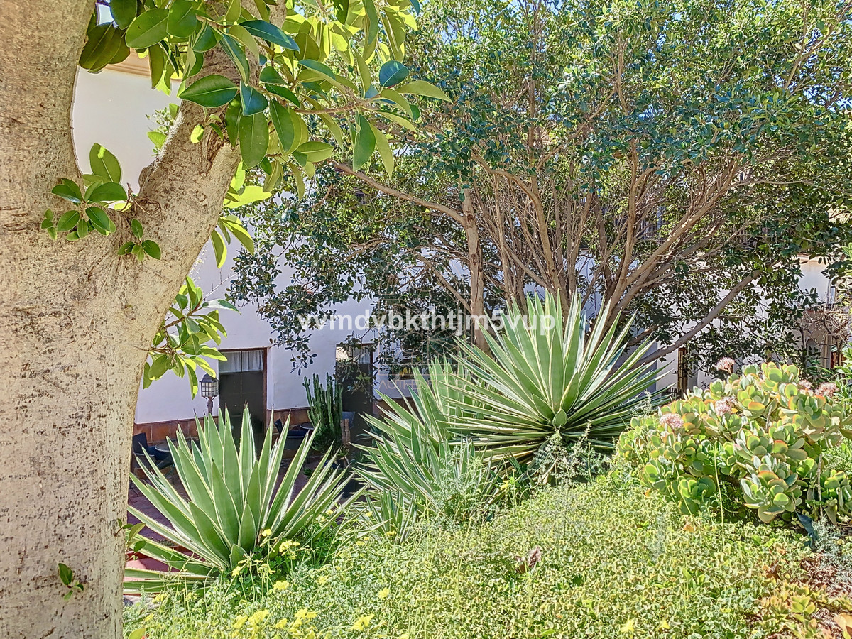 Finca - Cortijo in Alcaucín-31