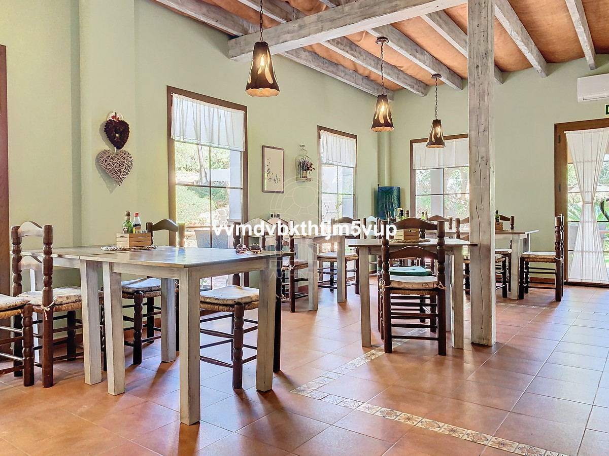 Finca - Cortijo in Alcaucín-10