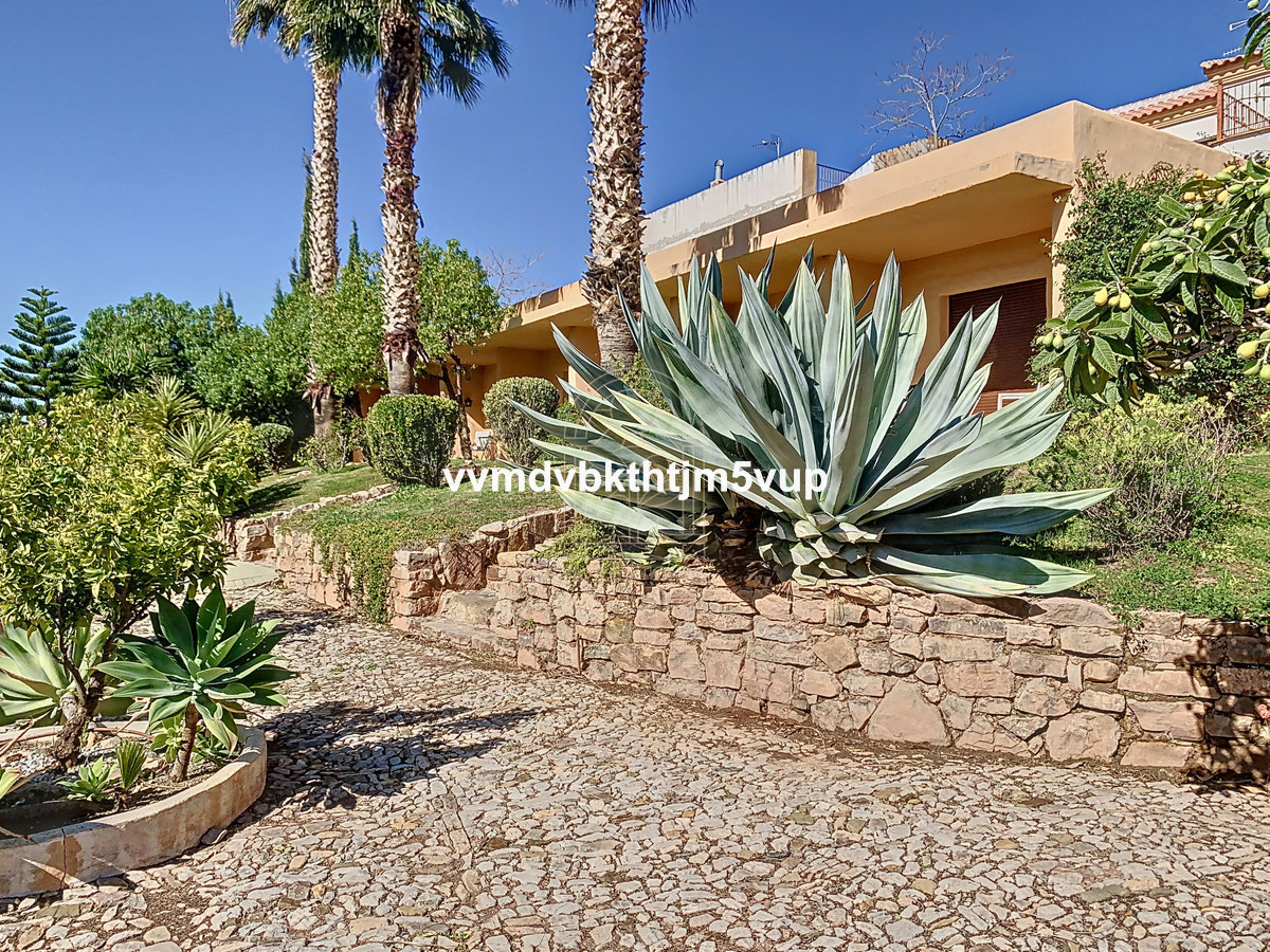 Finca - Cortijo in Alcaucín-16