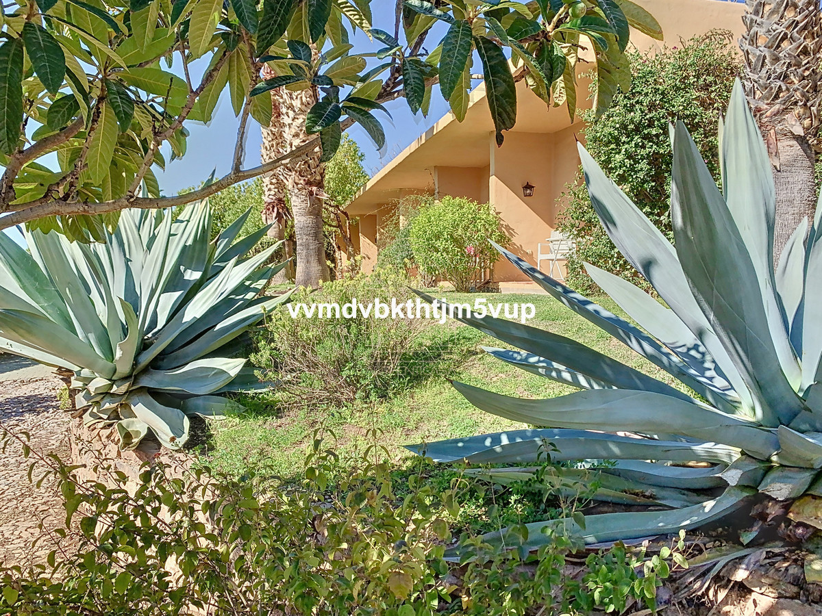 Finca - Cortijo in Alcaucín-19