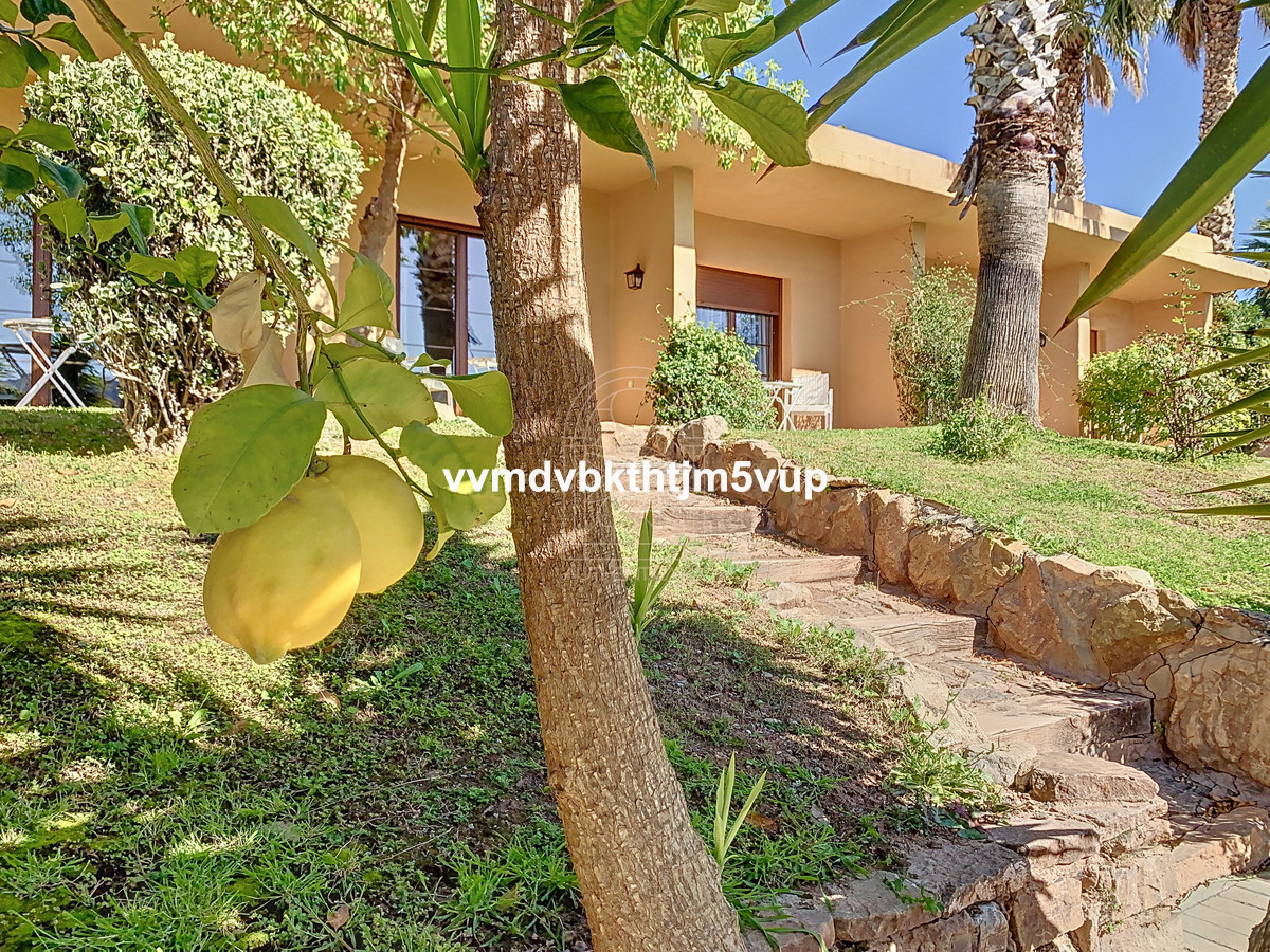Finca - Cortijo in Alcaucín-20