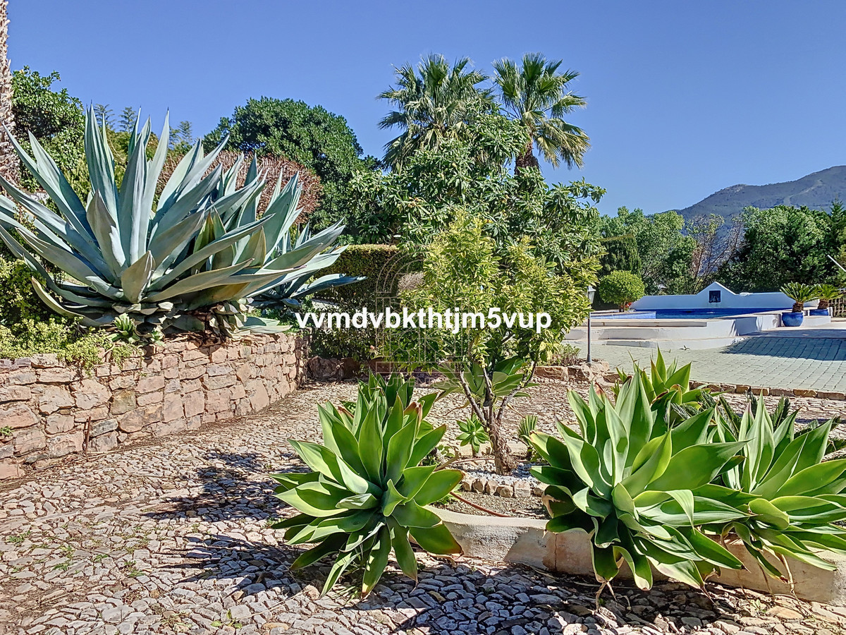 Finca - Cortijo in Alcaucín-31