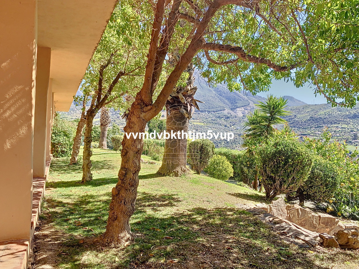 Finca - Cortijo in Alcaucín-44