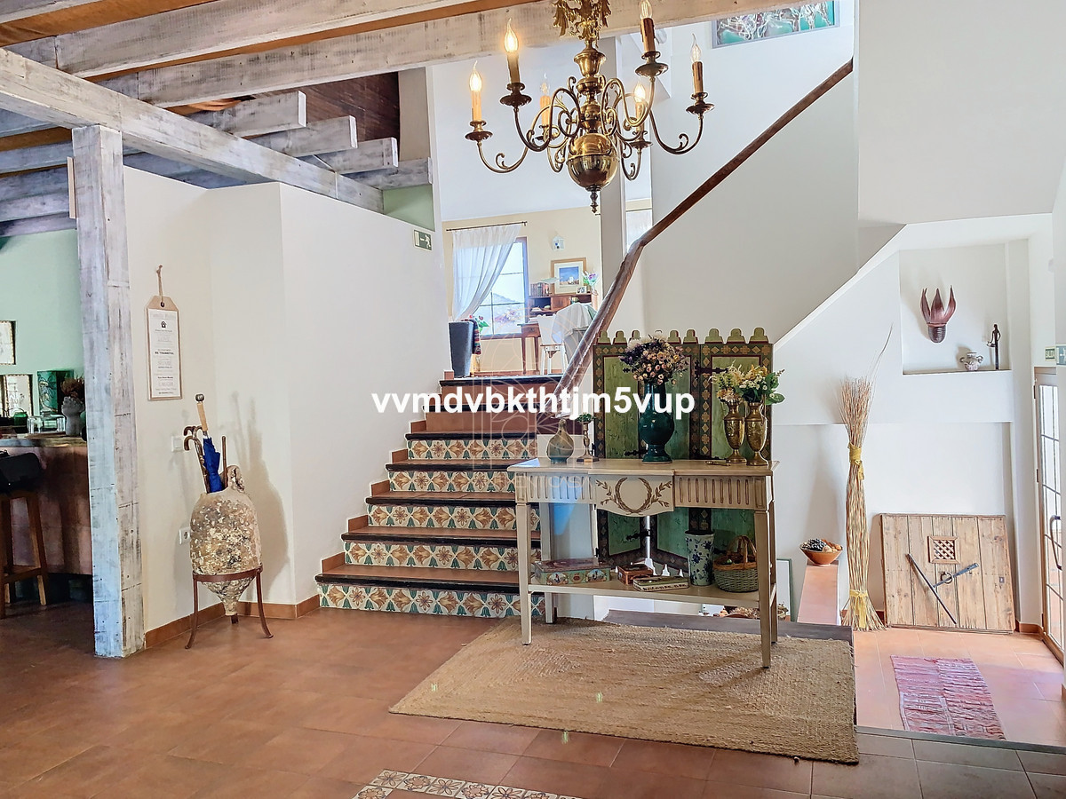 Finca - Cortijo in Alcaucín-6