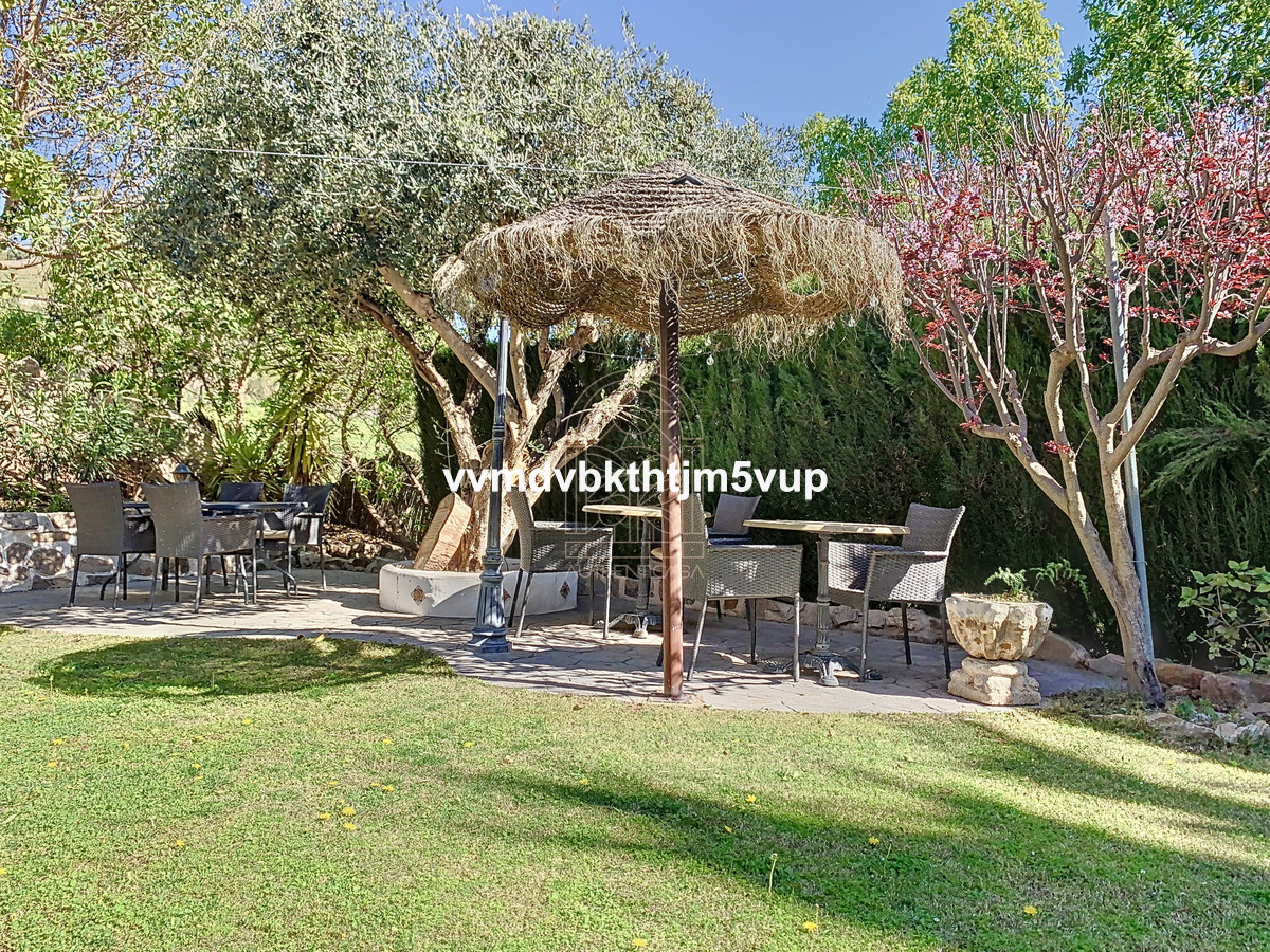 Finca - Cortijo in Alcaucín-8