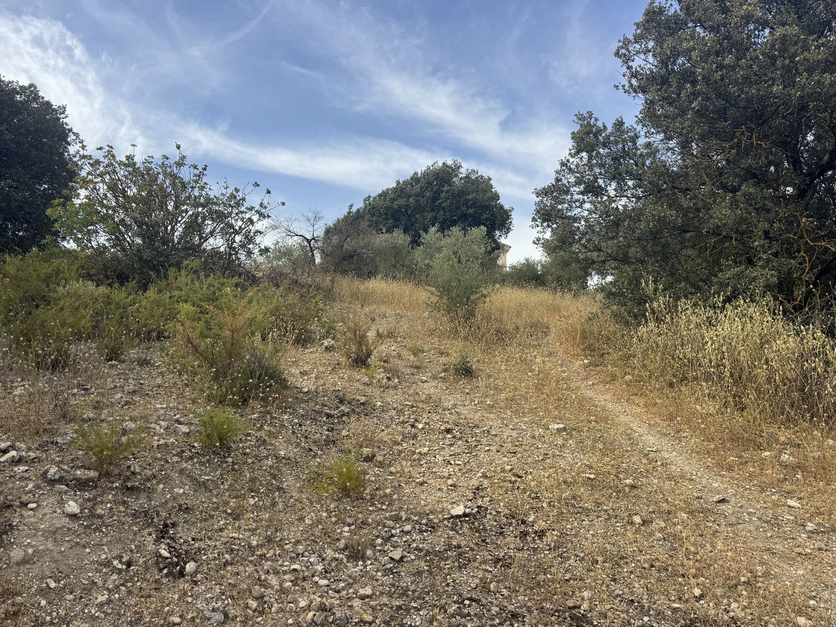 Property main view 10