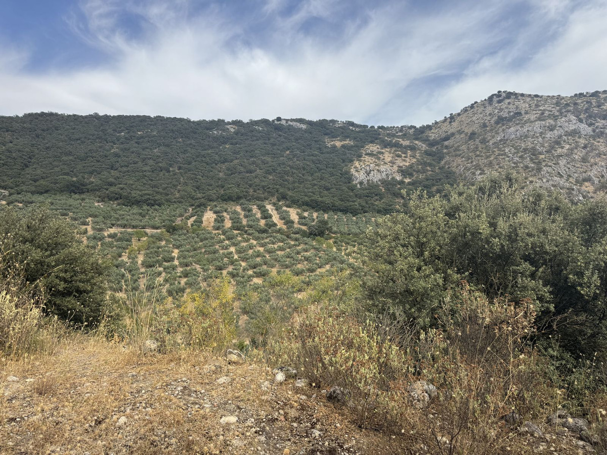 Property main view 18