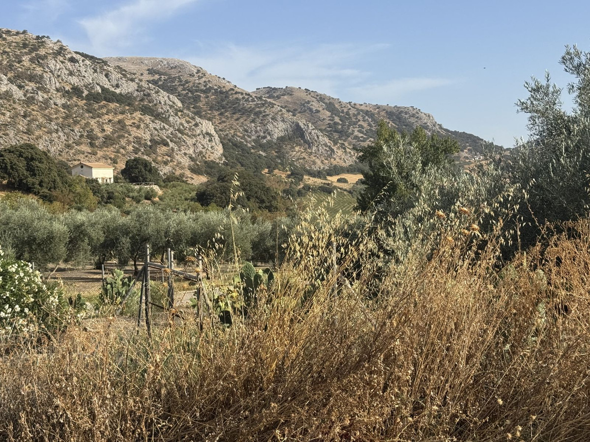 Property main view 26