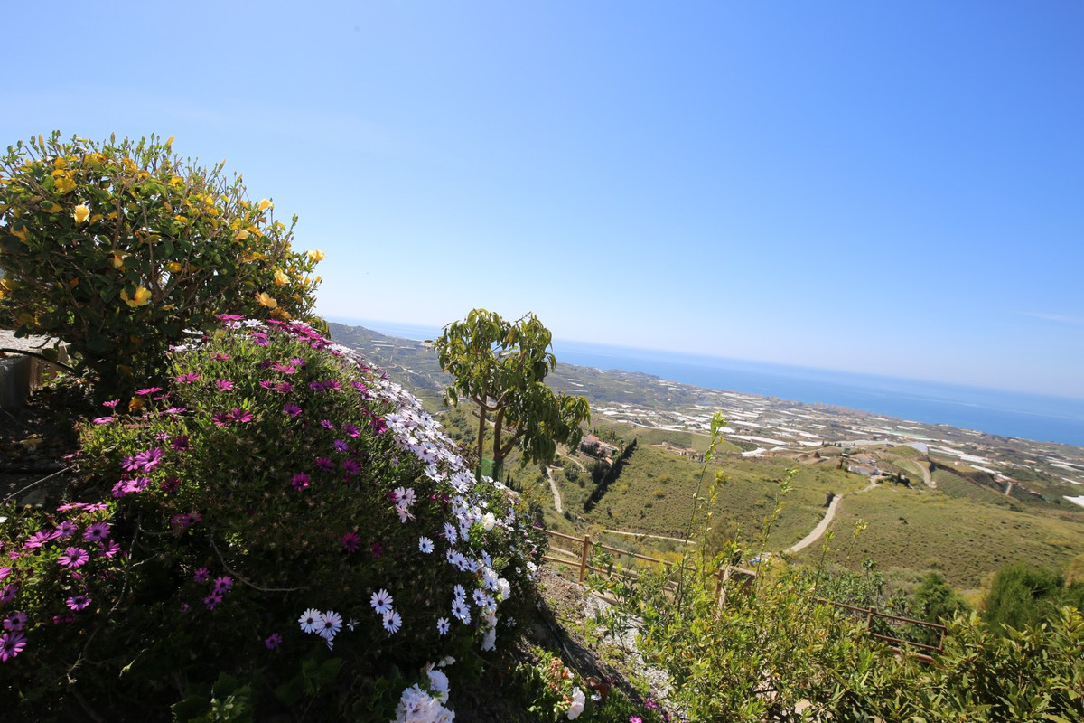 Vrijstaande Villa in Algarrobo-18