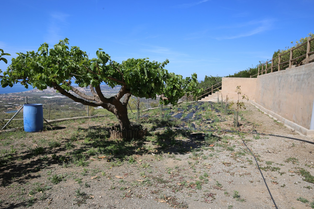 Vrijstaande Villa in Algarrobo-20