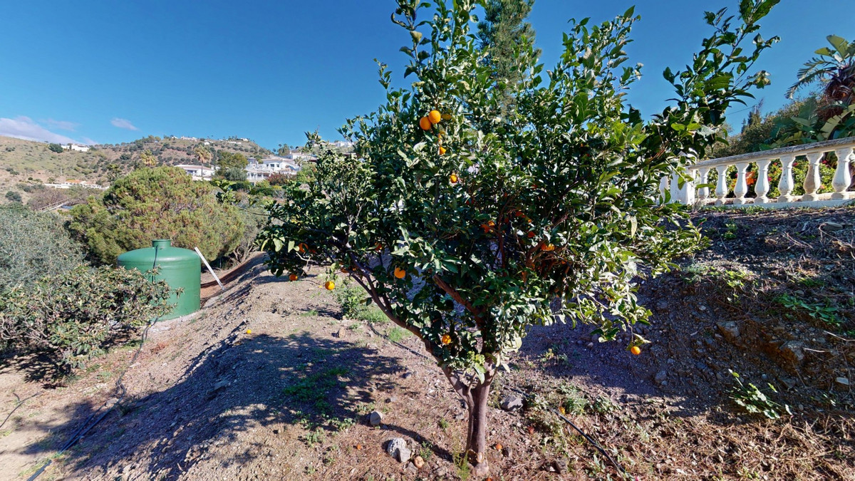 Property main view 45