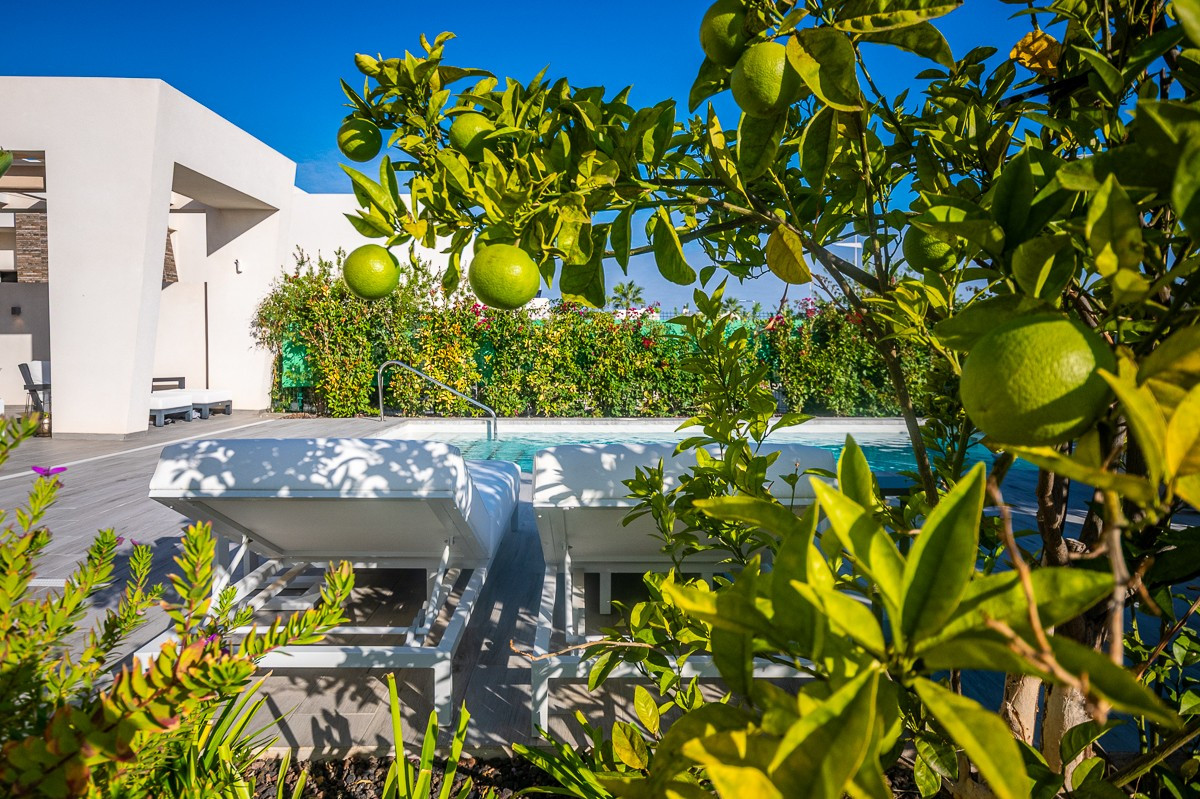 Property main view 11