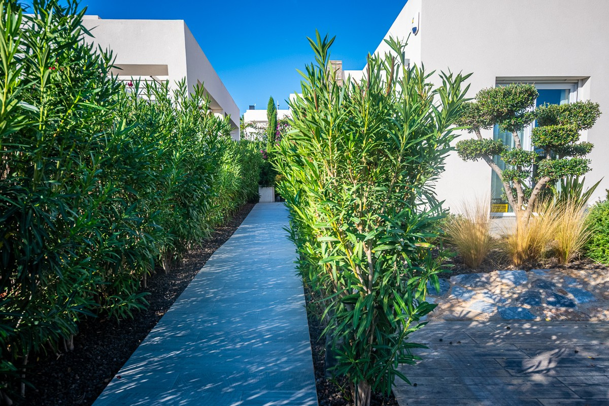 Property main view 13