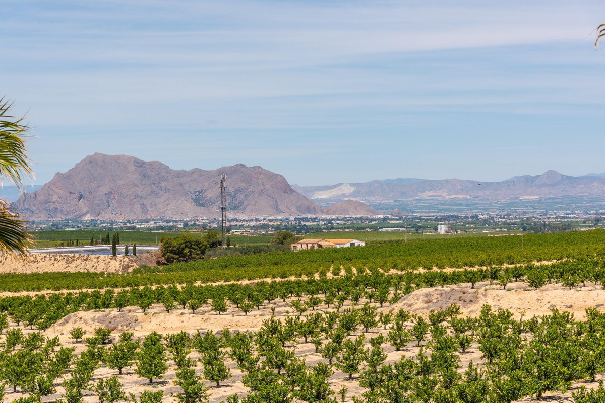 Property main view 42