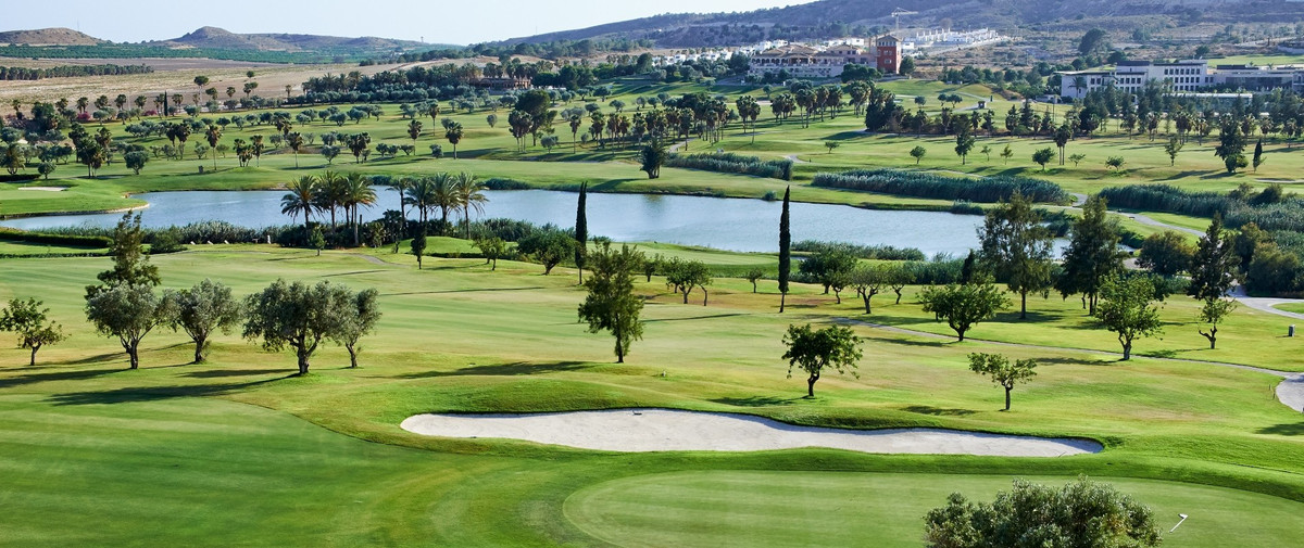 Huis te koop in Algorfa | 0 slaapkamers H5265394