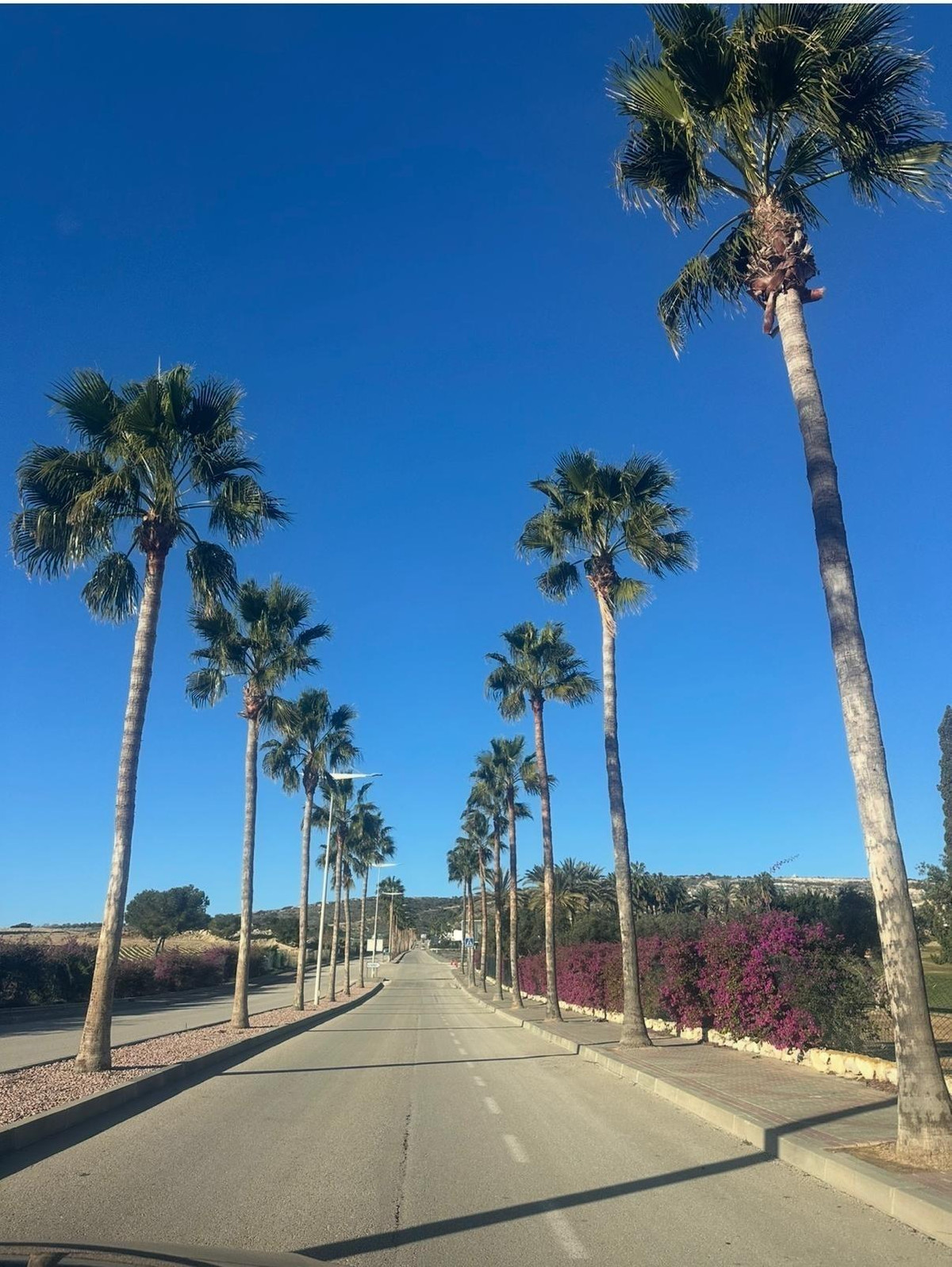 Bungalow te koop in Algorfa | 4 slaapkamers H5323636