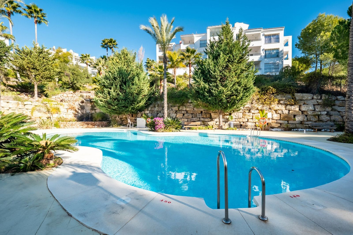 Property main view 2