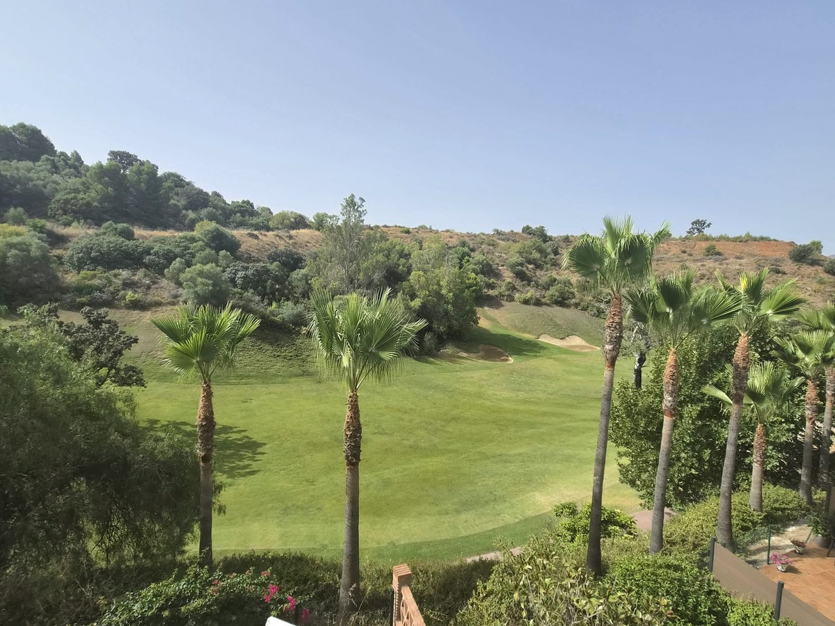 Property main view 41