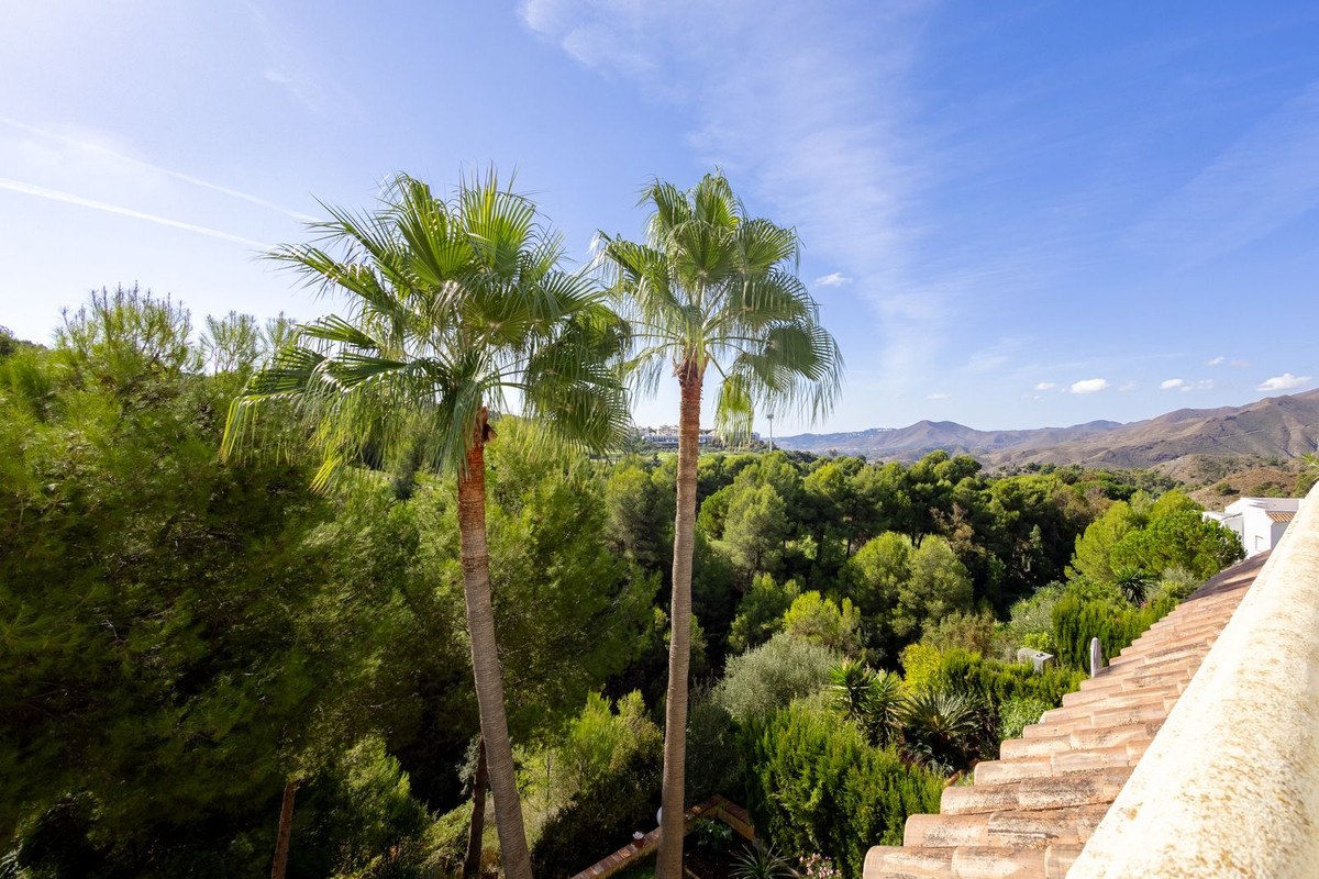 Property main view 32