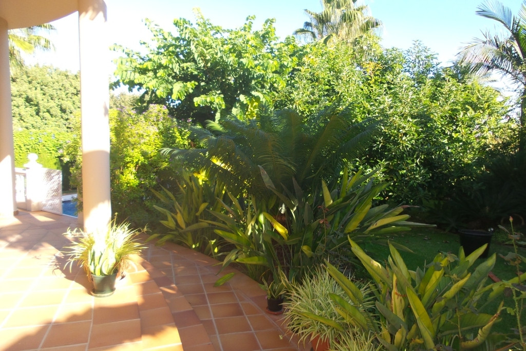 Property main view 38