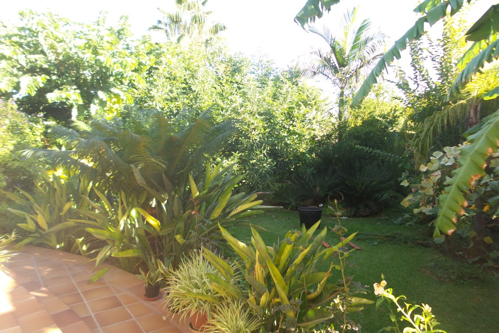 Property main view 39