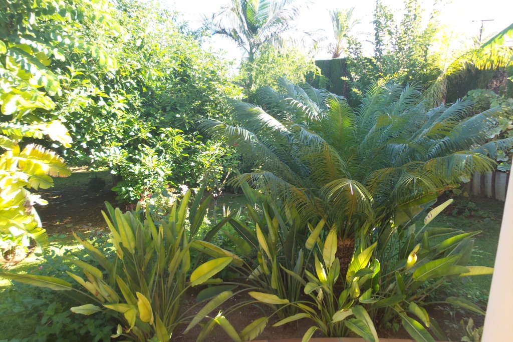 Property main view 40