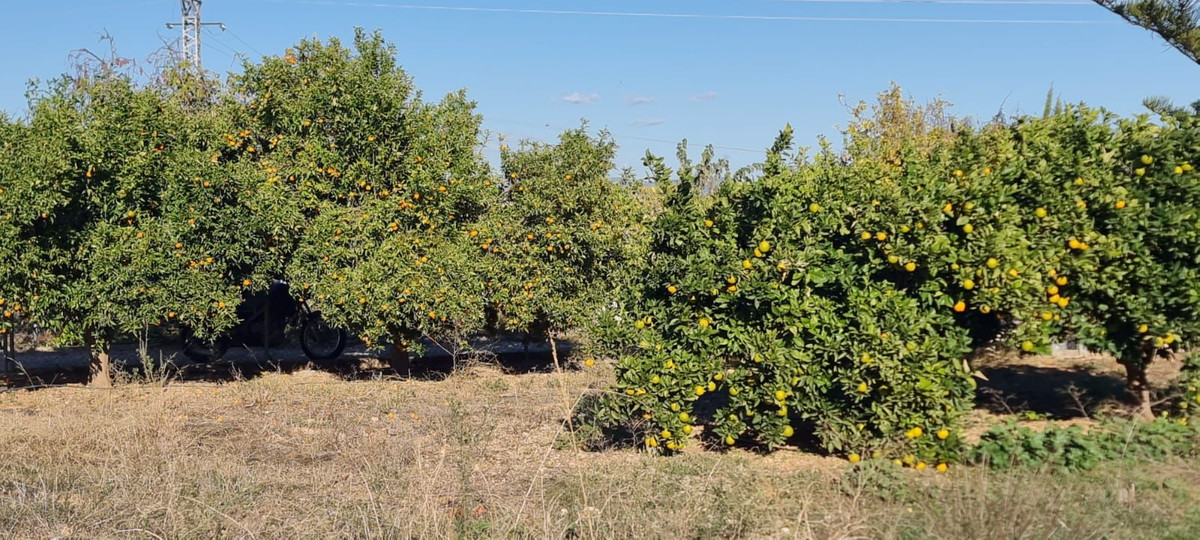 Property main view 33