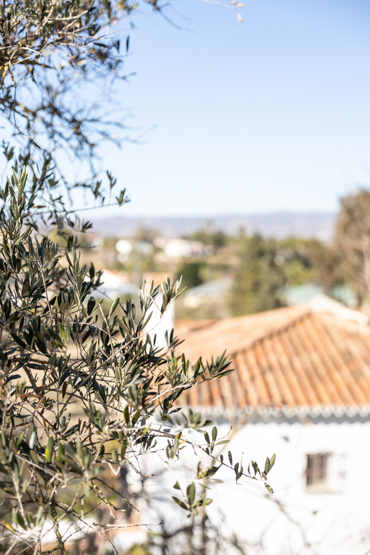 Finca - Cortijo in Alhaurín de la Torre-28