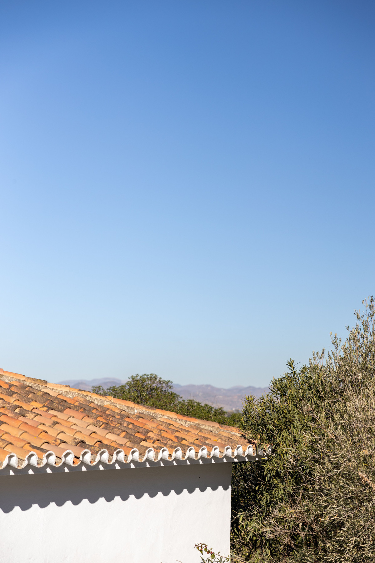 Finca - Cortijo in Alhaurín de la Torre-29