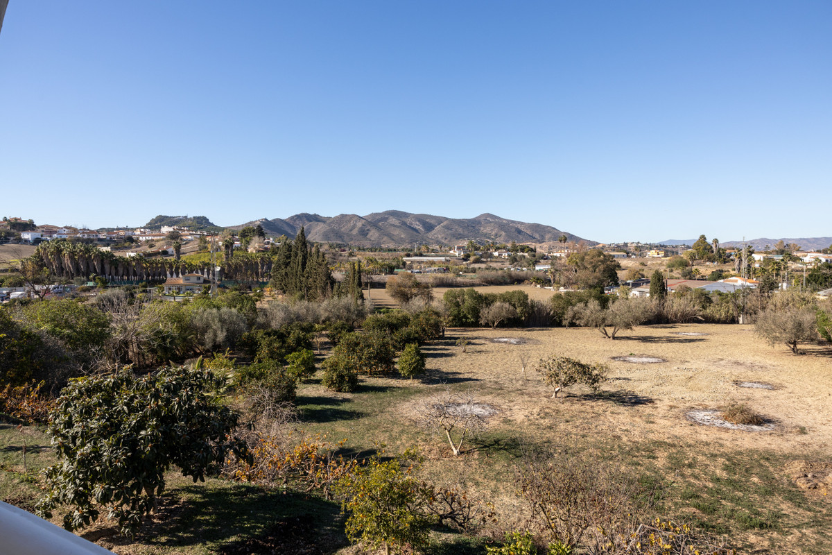 Finca - Cortijo in Alhaurín de la Torre-33