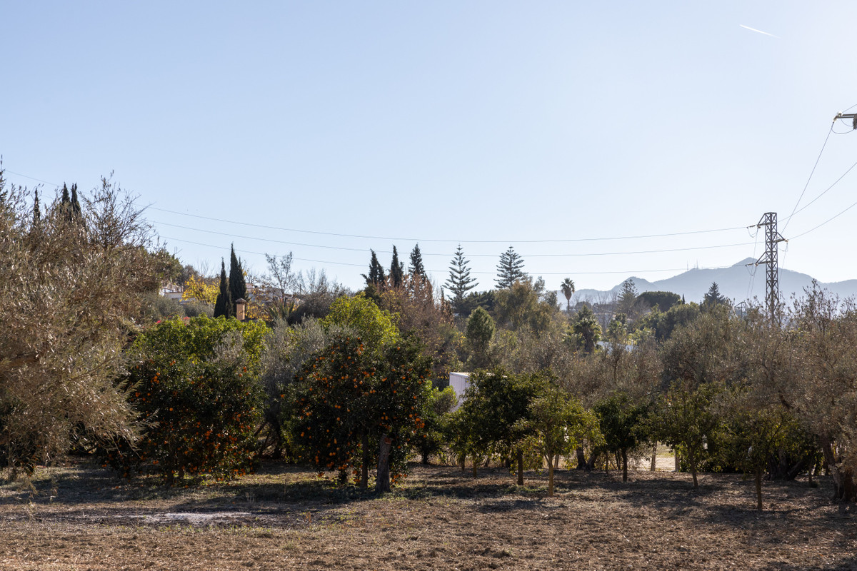 Finca - Cortijo in Alhaurín de la Torre-9