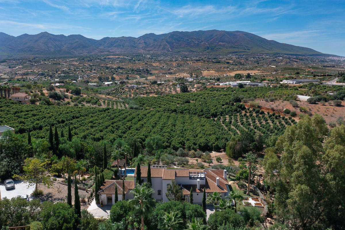 Finca - Cortijo in Alhaurín de la Torre-63