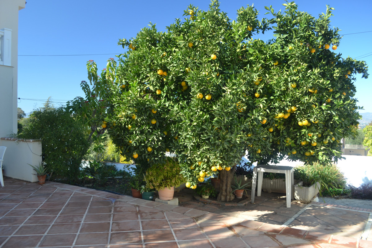 Property main view 51