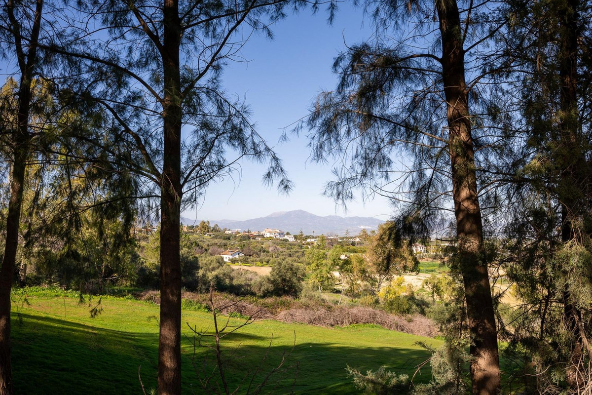 Property main view 2