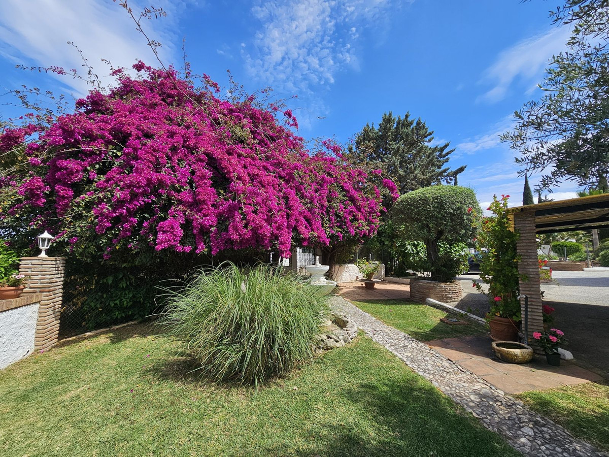 Property main view 16