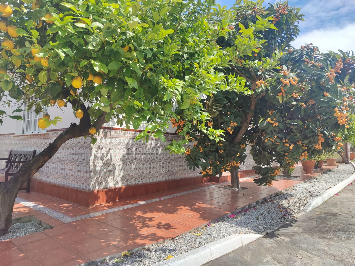 Property main view 92