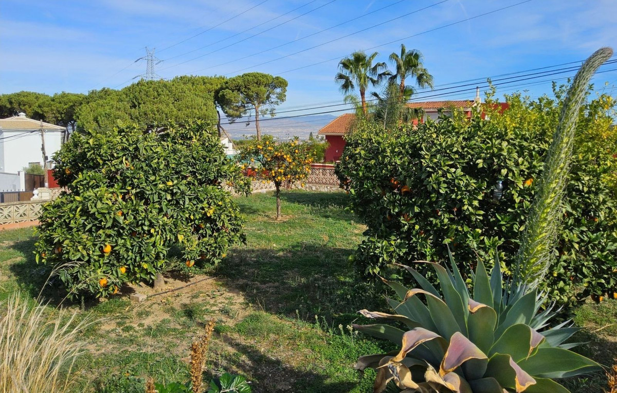Vrijstaande Villa in Alhaurín de la Torre-43