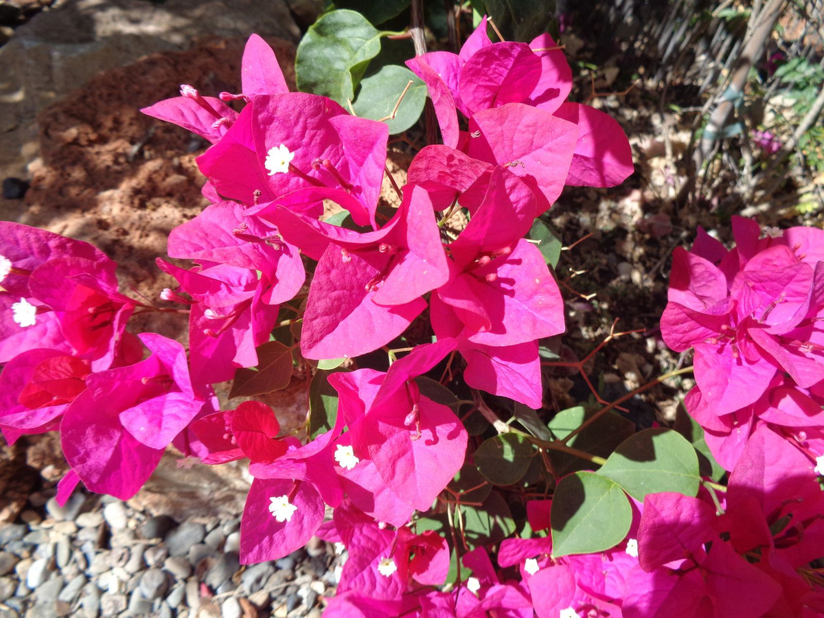 Huis te koop in Alhaurín de la Torre | 4 slaapkamers H5177461