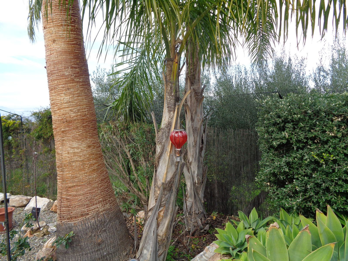 Huis te koop in Alhaurín de la Torre | 4 slaapkamers H5177461