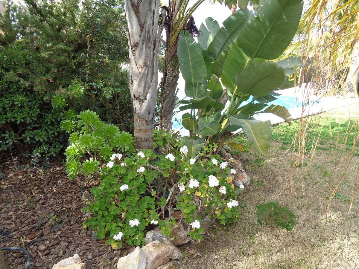 Huis te koop in Alhaurín de la Torre | 4 slaapkamers H5177461