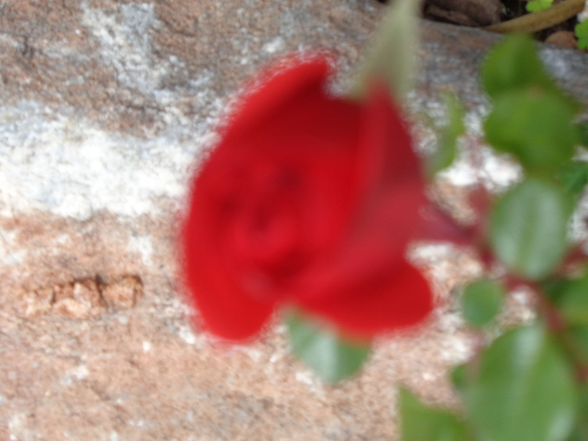 Huis te koop in Alhaurín de la Torre | 4 slaapkamers H5177461