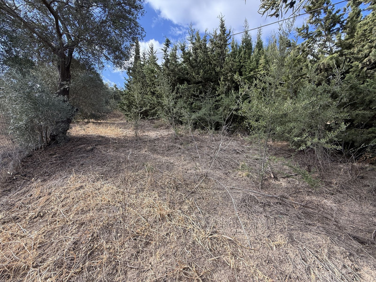 Property main view 36